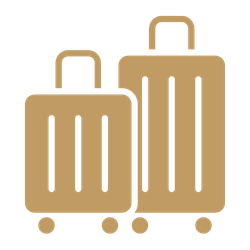 Luggage storage Icon
