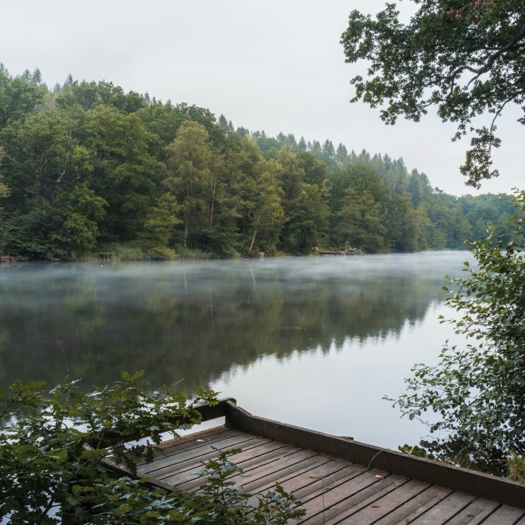 A lake with a fishing dock in the forest of dean